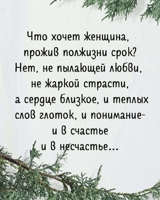 FB_IMG_1711993468788.jpg