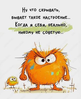 FB_IMG_1710029249770.jpg