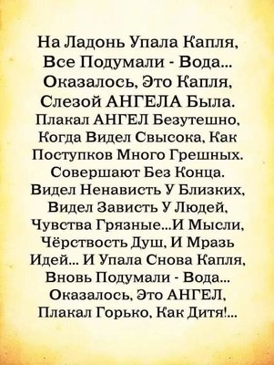 FB_IMG_1711019466595.jpg
