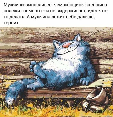 FB_IMG_1721252425694.jpg