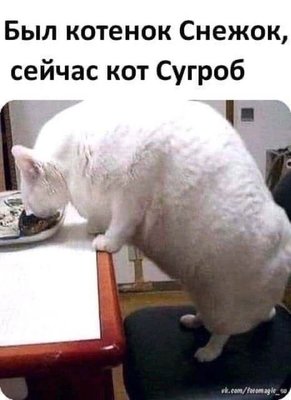 449178832_8532692100092485_6889325929616520431_n.jpg