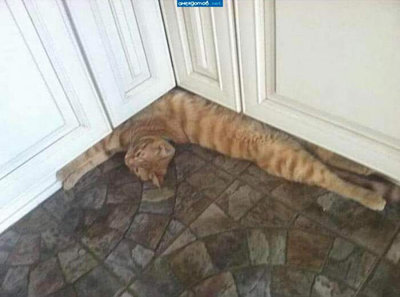 котангенс.jpg