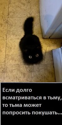 тьма.jpg