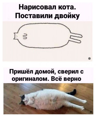 нарис кота.jpg