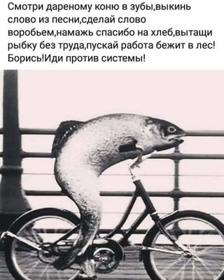 FB_IMG_1721505687949.jpg