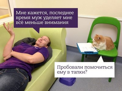 кот терапевт.jpg