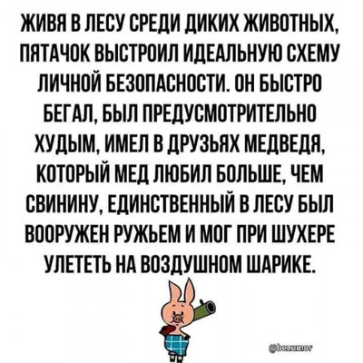 пятачок.jpg