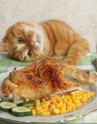 8FFDEl8J5PTCzHVbvN_U8gsFbinHBiNDfncwgGuDsGc6j74kCtHTubgXAaQ7JrTTasikYNxcUjCTo1pxl_suTeOm.jpg