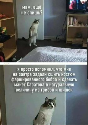FB_IMG_1725687008977.jpg