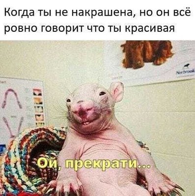 h-224938.jpg