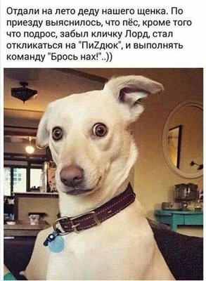 FB_IMG_1726840671101.jpg