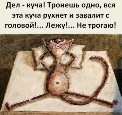 FB_IMG_1727162620801.jpg