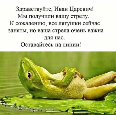 FB_IMG_1728385690223.jpg