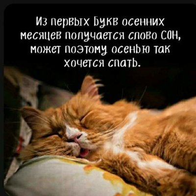 FB_IMG_1731306058573.jpg
