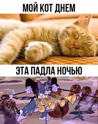 FB_IMG_1731172240630.jpg