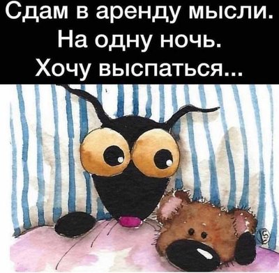 FB_IMG_1730103136319.jpg