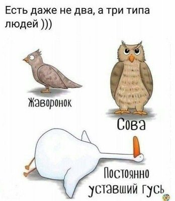 FB_IMG_1731946974322.jpg