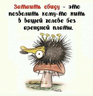 FB_IMG_1727891837274.jpg