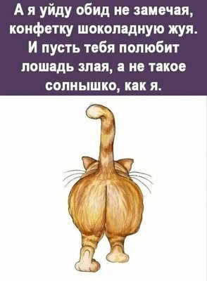 FB_IMG_1732180734204.jpg