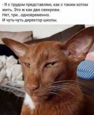Screenshot_20241122_132911_Facebook.jpg