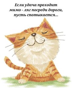 74b392707d84c40ee55768fbb1b23978.jpg