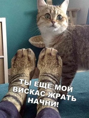 наташа носки.jpg