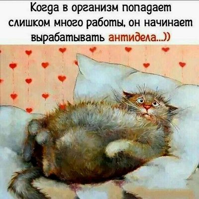 FB_IMG_1731619482747.jpg