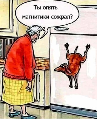 FB_IMG_1731955793548.jpg