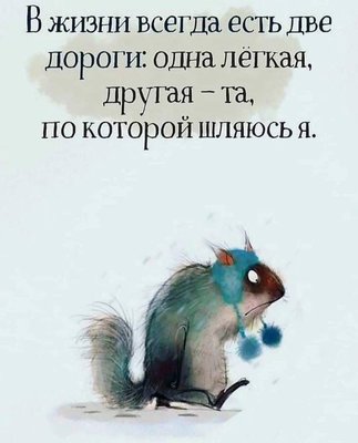 FB_IMG_1732902029469.jpg