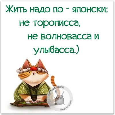 d823e95c851ac172b7d5c73f8055cd7e.jpg