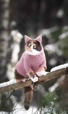 jXFhqhKH4kCJ91IEot-0to_2c666V5apWkjPHZeXQRLK7N_aypQapAMRFGTcJekTzAmFu7IB3IFKVqfMx3BCQnBG.jpg