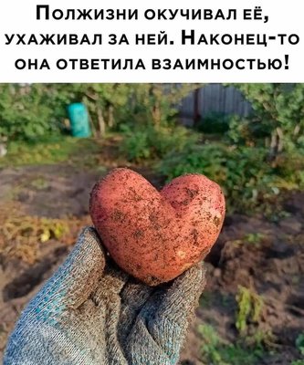 FB_IMG_1733169589853.jpg