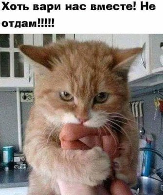 FB_IMG_1733429713277.jpg