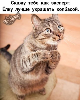 FB_IMG_1733429341402.jpg