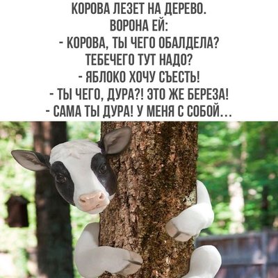 FB_IMG_1733411315748.jpg