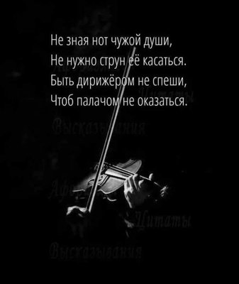 FB_IMG_1729507884162.jpg
