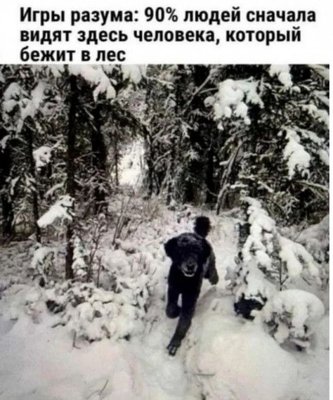 игры разума.jpg