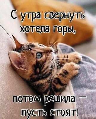FB_IMG_1736096368137.jpg