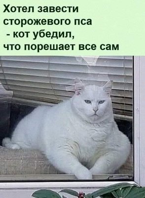 FB_IMG_1736775321793.jpg