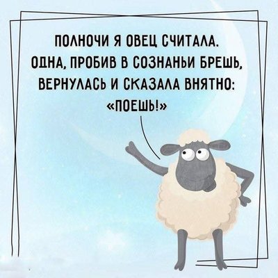 FB_IMG_1736194104281.jpg
