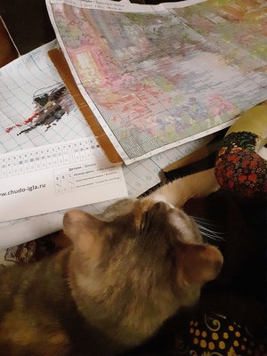 20250128_234249-Крошка-вышивка.jpg