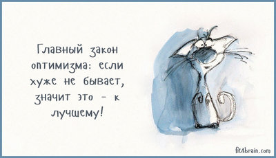 cat-1.jpg