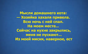 images1.jpg