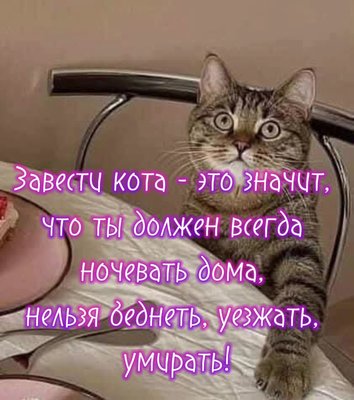 VideoCapture_20250217-154056.jpg
