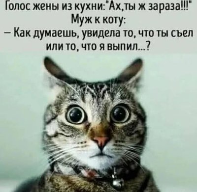 FB_IMG_1738272353504.jpg