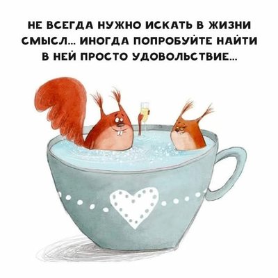 FB_IMG_1738868411038.jpg