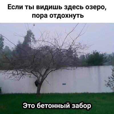 FB_IMG_1735850989558.jpg