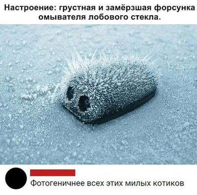 форсунка.jpg