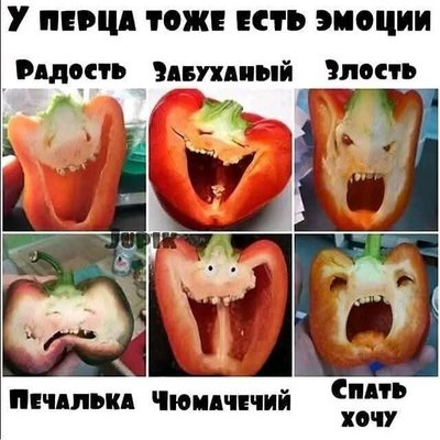 FB_IMG_1739794599899.jpg