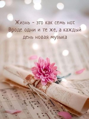 FB_IMG_1739876515223.jpg